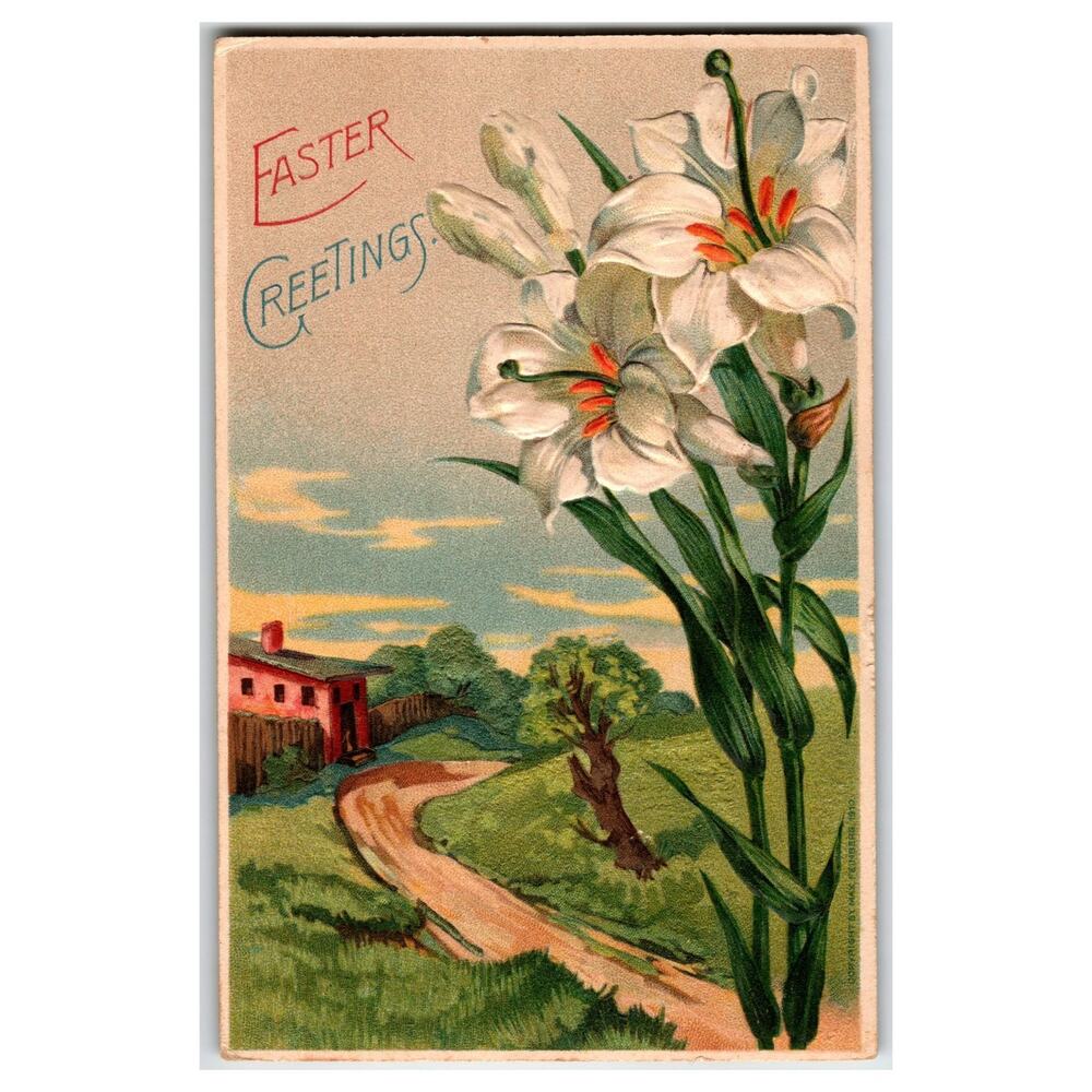 1911 Easter Lilies Postcard Tripoli Iowa Postmark Embossed MAB Germany